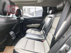 رينو كوليوس